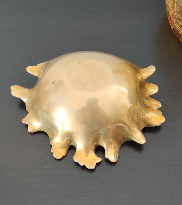 Solid Brass Shell - Image 4