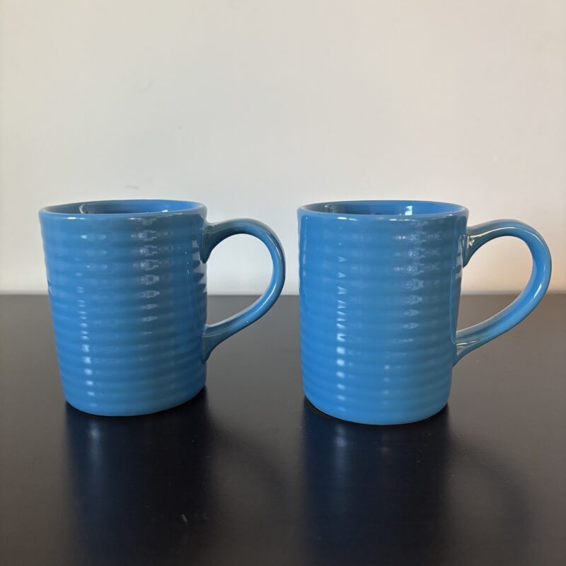 Royal Norfolk Greenbrier mugs set of 2 | Antiquaria Shop